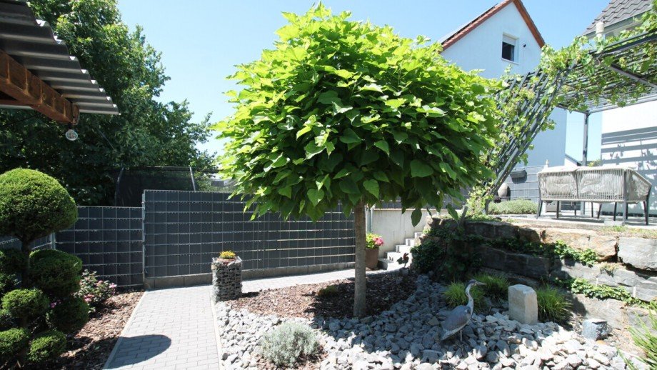 Garten Einfamilienhaus Gemmingen / Stebbach