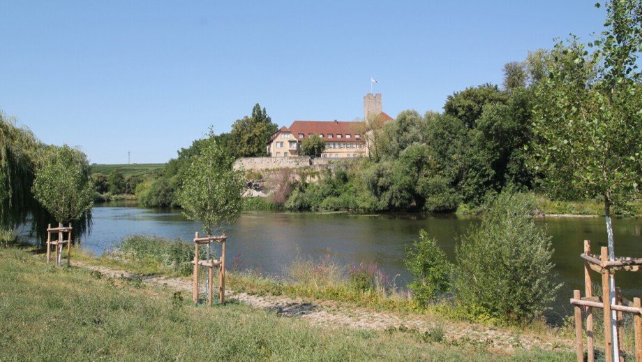Umgebung Erdgeschosswohnung Lauffen am Neckar